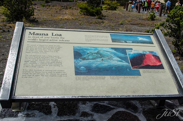 Bild Mauna Loa Schild