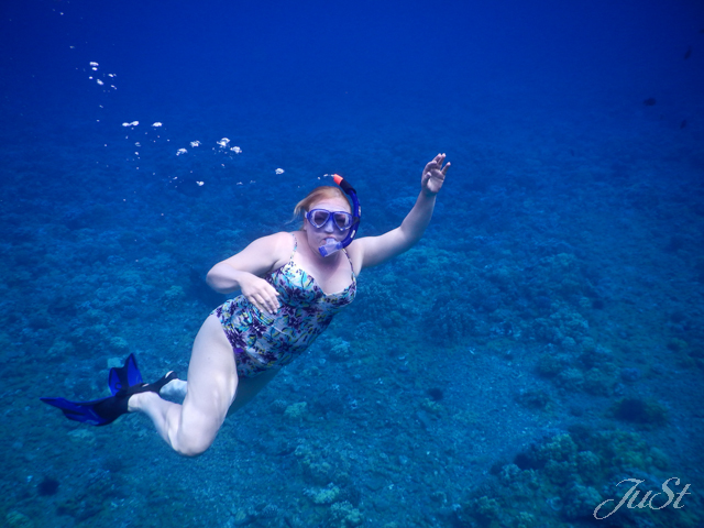 Bild Jule Molokini Crater