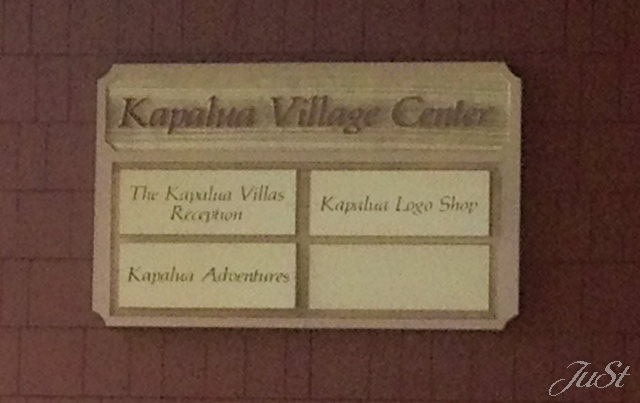 Bild Kapalua Village Center