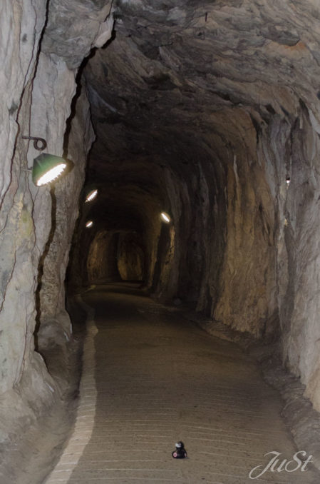 Bild Ente im Tunnel auf Gibraltar